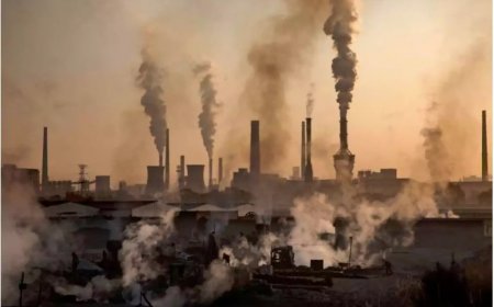 Air pollution claims 2.1m lives in India, besides 8.1m globally