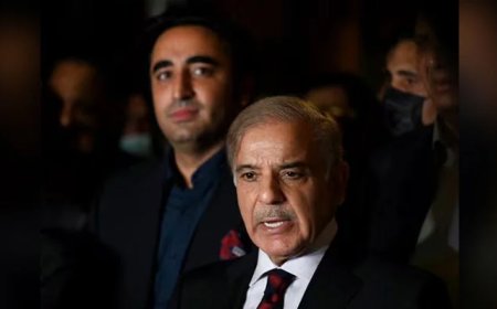 PML-N and PPP air grievances during committee-level talks