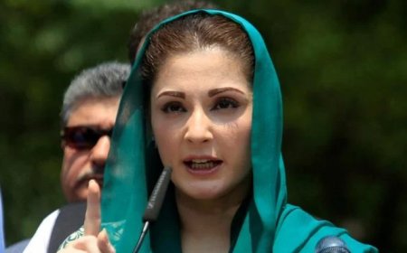 Punjab mulls amending law allowing overseas Pakistanis to easily buy, sell property