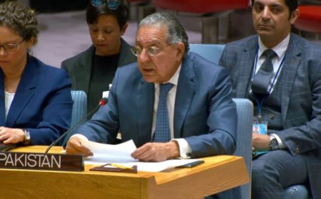 Pakistan calls for decisive action against terrorism in Afghanistan