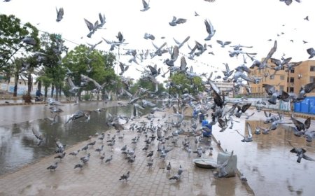 Thundershowers expected in Karachi today: PMD