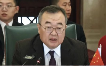 'Internal stability essential for development', Chinese minister tells Pakistan political parties