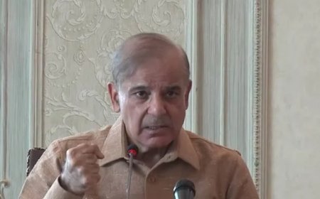 Pakistan Economy Current Situation 2024 : PM Shehbaz