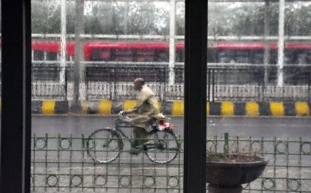 Punjab on alert amid prediction for heavy monsoon rains