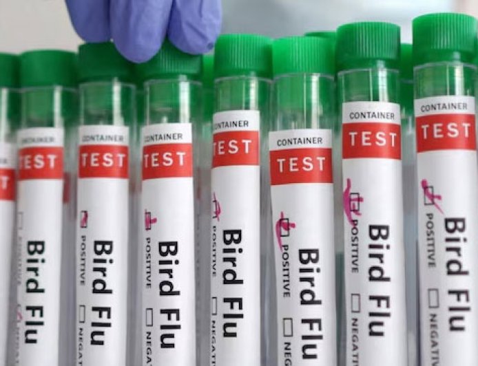Bird flu spreads to seventh Australian poultry farm